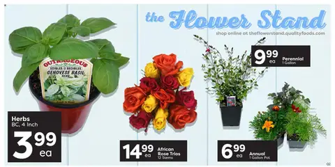 Preview of Quality Foods weekly flyer / circulaire from shop Quality Foods valid from 18.06.2026 | Page: 3
