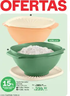 Vista previa de Tupperware catálogo, nuevo folleto de la tienda, válido en México a partir del 10/08/2026 | Página: 102 | Productos: Melón, Tupper