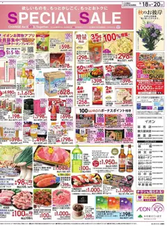 2026/09/18から有効なオファーを含む イオン - リーフレット | ページ: 2 | 製品: フレーク, ブルーベリー