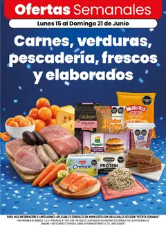 Vista previa Coto - Carnes, verduras, pescadería, frescos y elaborados válido desde el 15.06.2026