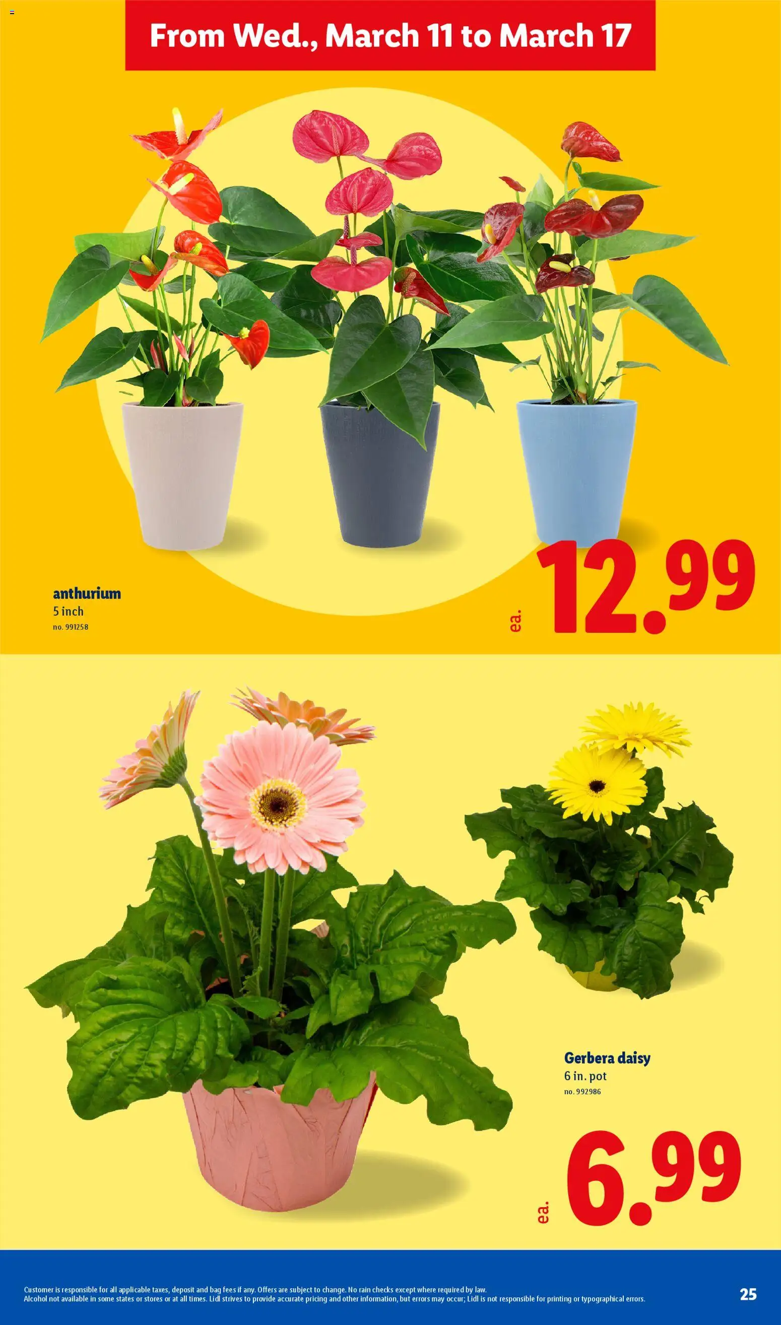 Lidl Weekly Ad - valid from 11.03.2026 | Page: 25 | Products: Bag