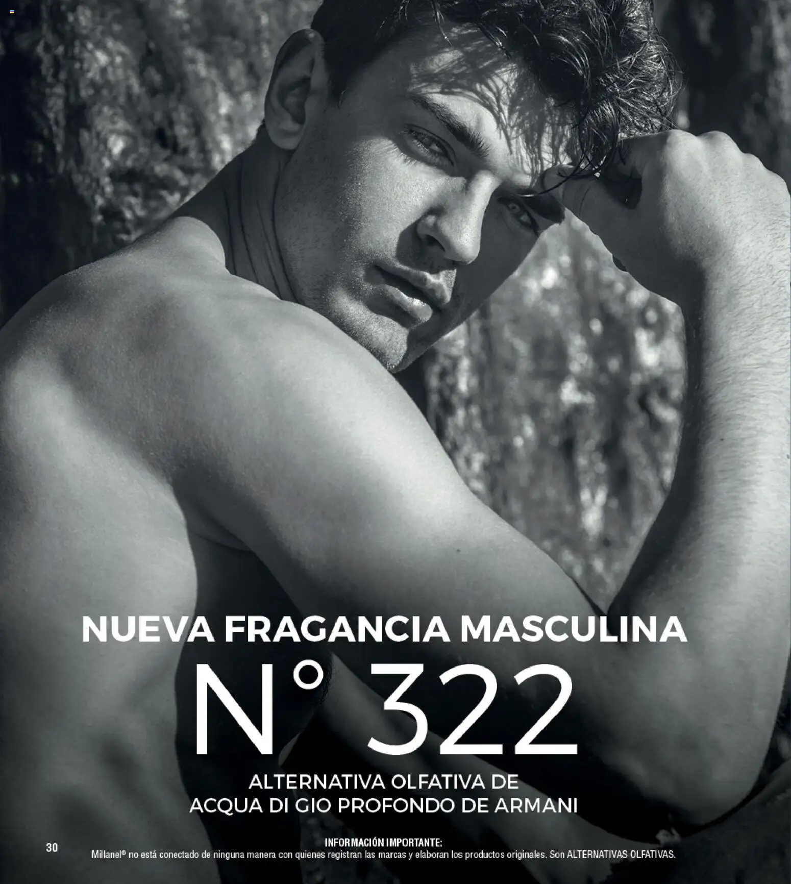 Millanel - Catálogo │ válido desde el 25.05.2026 | Página: 30 | Productos: Fragancia