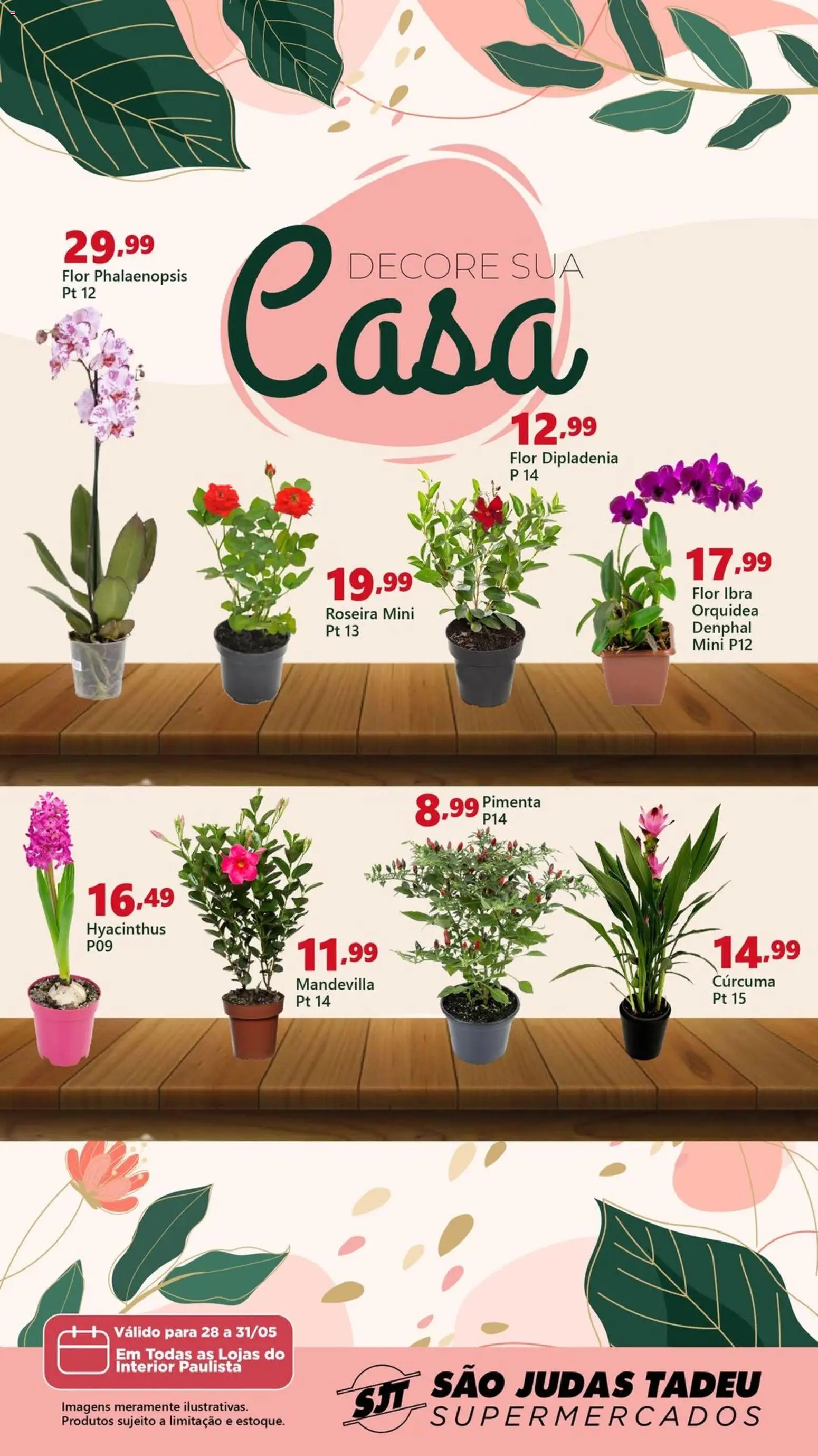 São Judas Tadeu Folheto - válido de 28.05.2026 | Página: 1 | Produtos: Pimenta