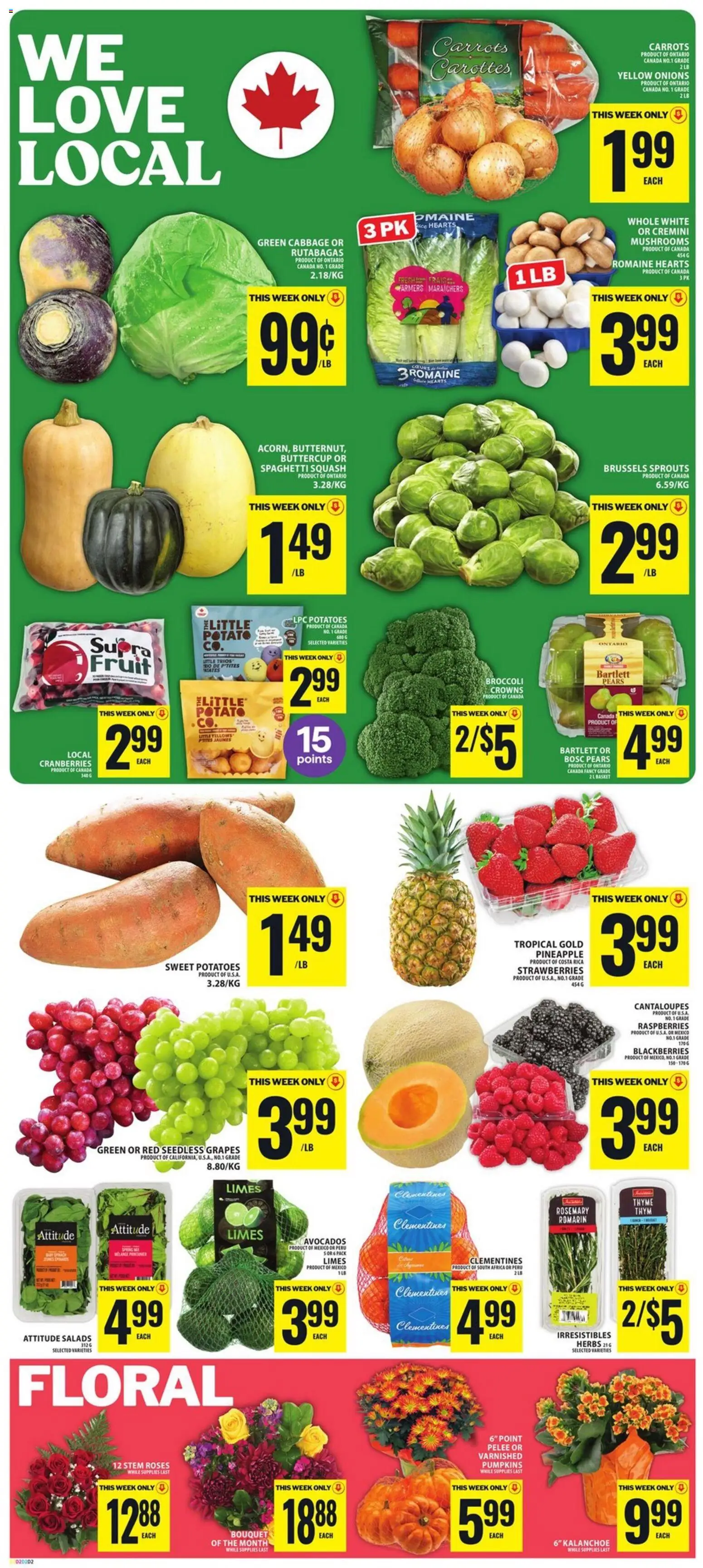 Food Basics flyer valid from Oct 8, 2026 | Page: 3