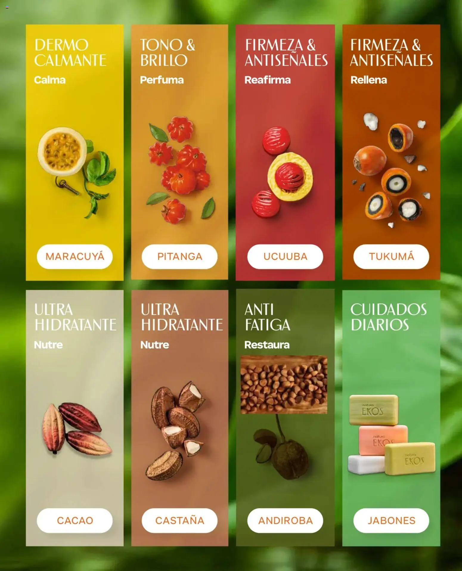 Natura Ofertas  │ válido desde el 01.05.2026 | Página: 114