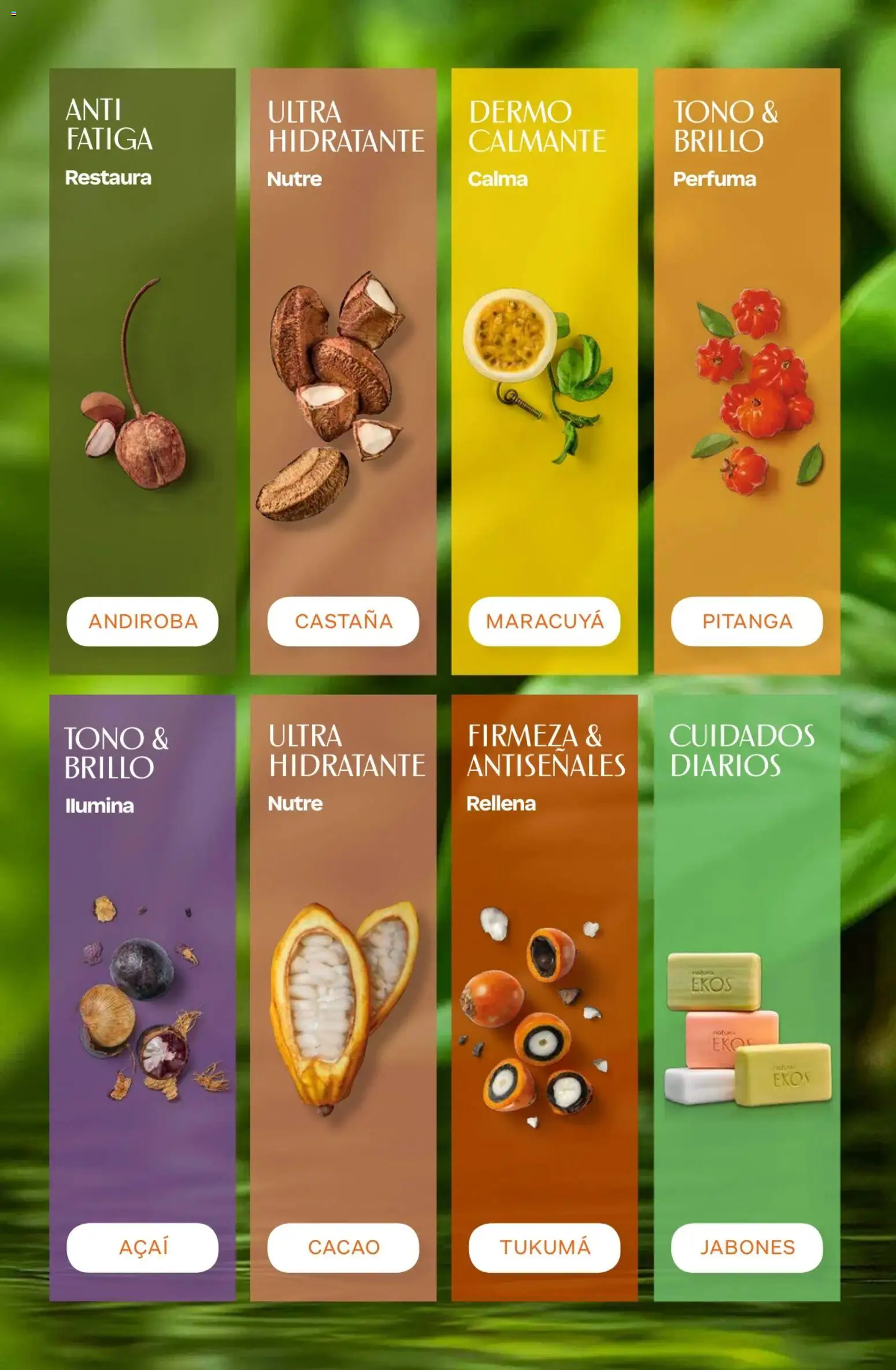 Catálogo Natura Ciclo 7 de 06/05/2026 ✳️ Obtenga un descuento limitado hoy mismo | Argentina