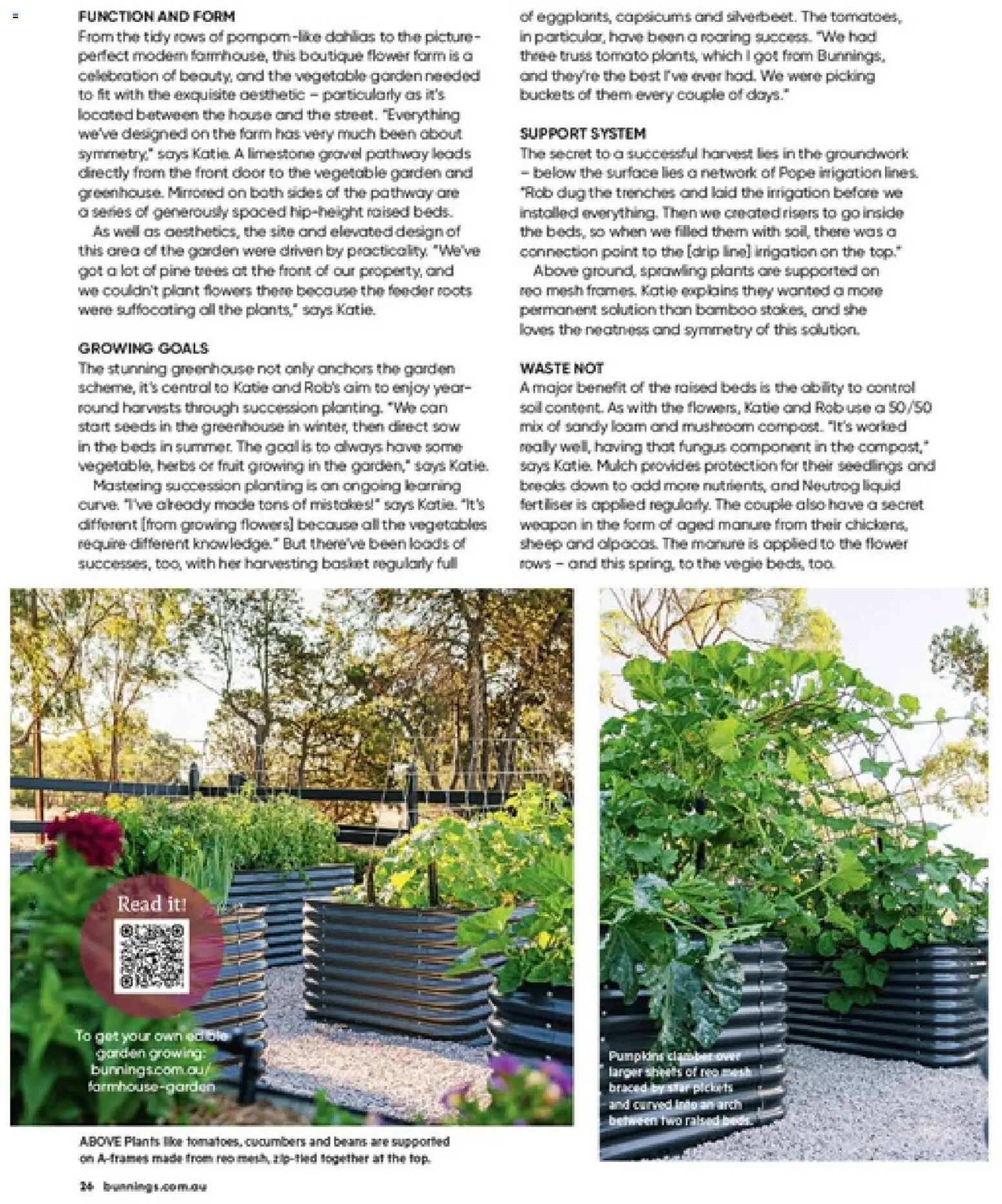 Bunnings Warehouse catalogue - valid from 01/09/2026 | Page: 26 | Products: Herbs, Cucumbers, Fruit, Modem