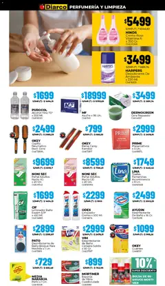 Vista previa Diarco ofertas válido desde el 04.05.2026 | Página: 15 | Productos: Desinfectante, Peine, Cera, Canasta
