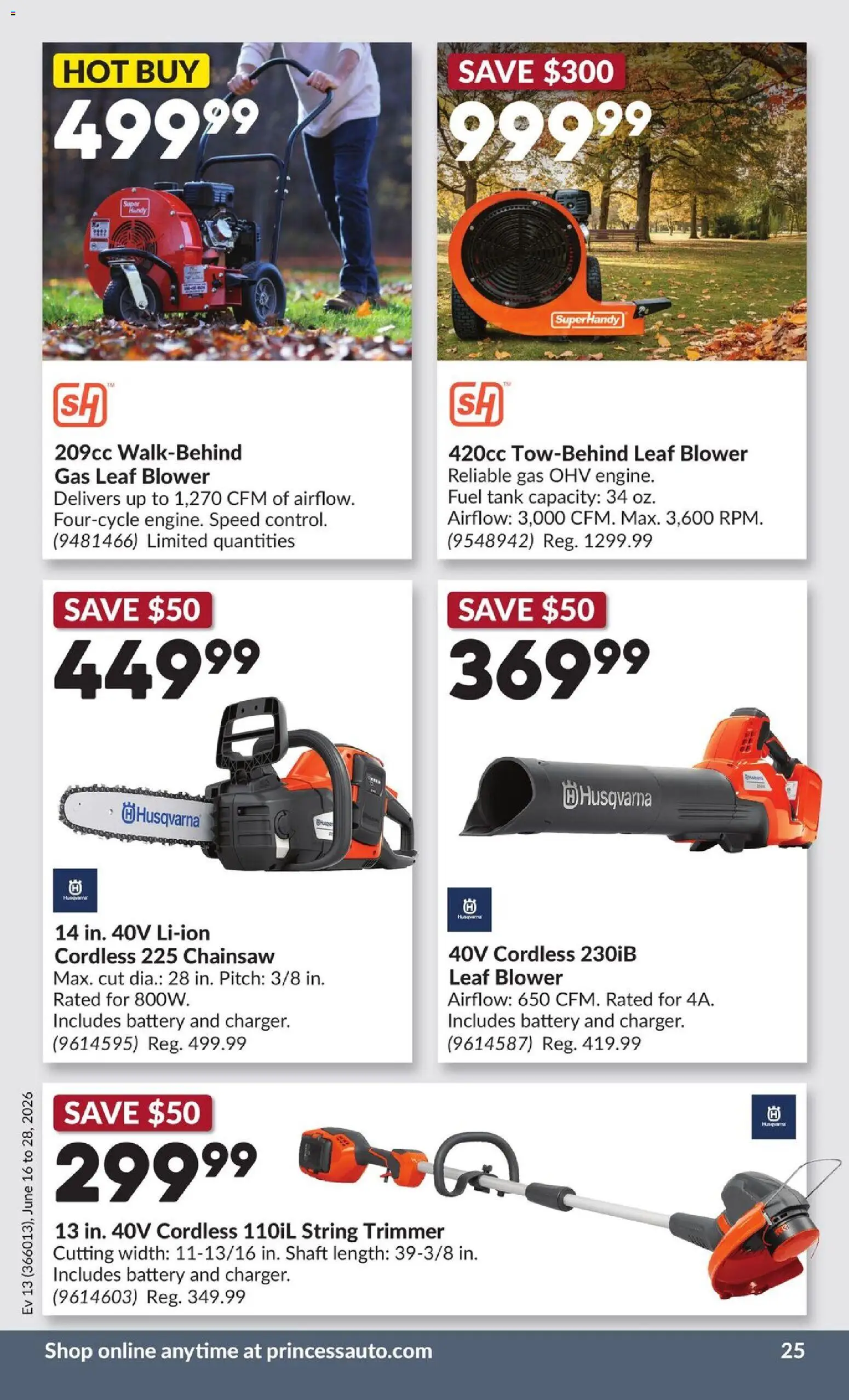 Princess Auto flyer valid from 16.06.2026 | Page: 29 | Products: Battery