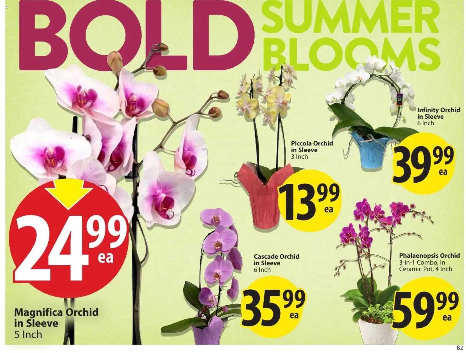 Save on foods flyer valid from Jul 16, 2026 | Page: 6 | Products: Orchid