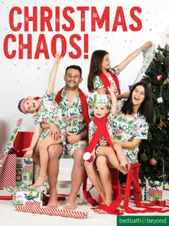 Bed Bath and Beyond Christmas preview  - valid from 27 Oct 2026