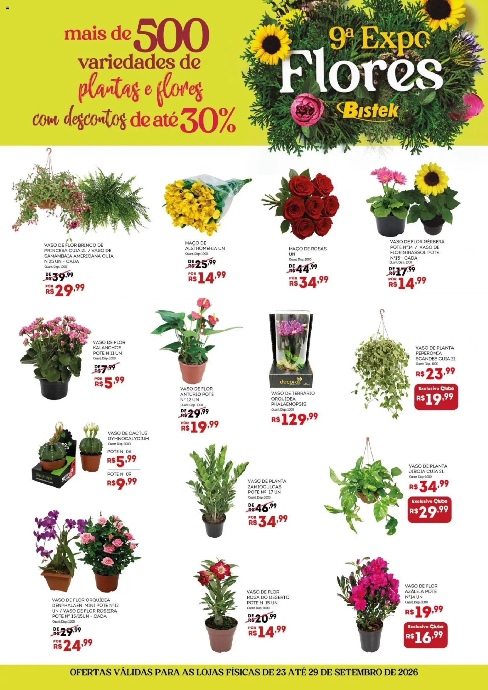 Bistek Supermercados Folheto - válido de 23/09/2026 | Página: 2 | Produtos: Brinco, Flores, Vaso, Gerbera