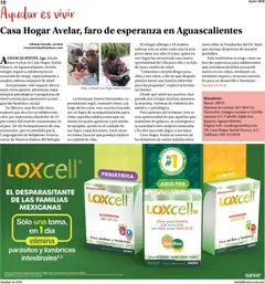 Vista previa de Farmacias Similares catálogo, nuevo folleto de la tienda, válido en México a partir del 01.06.2026 | Página: 10 | Productos: Banco, Teléfono, Tableta