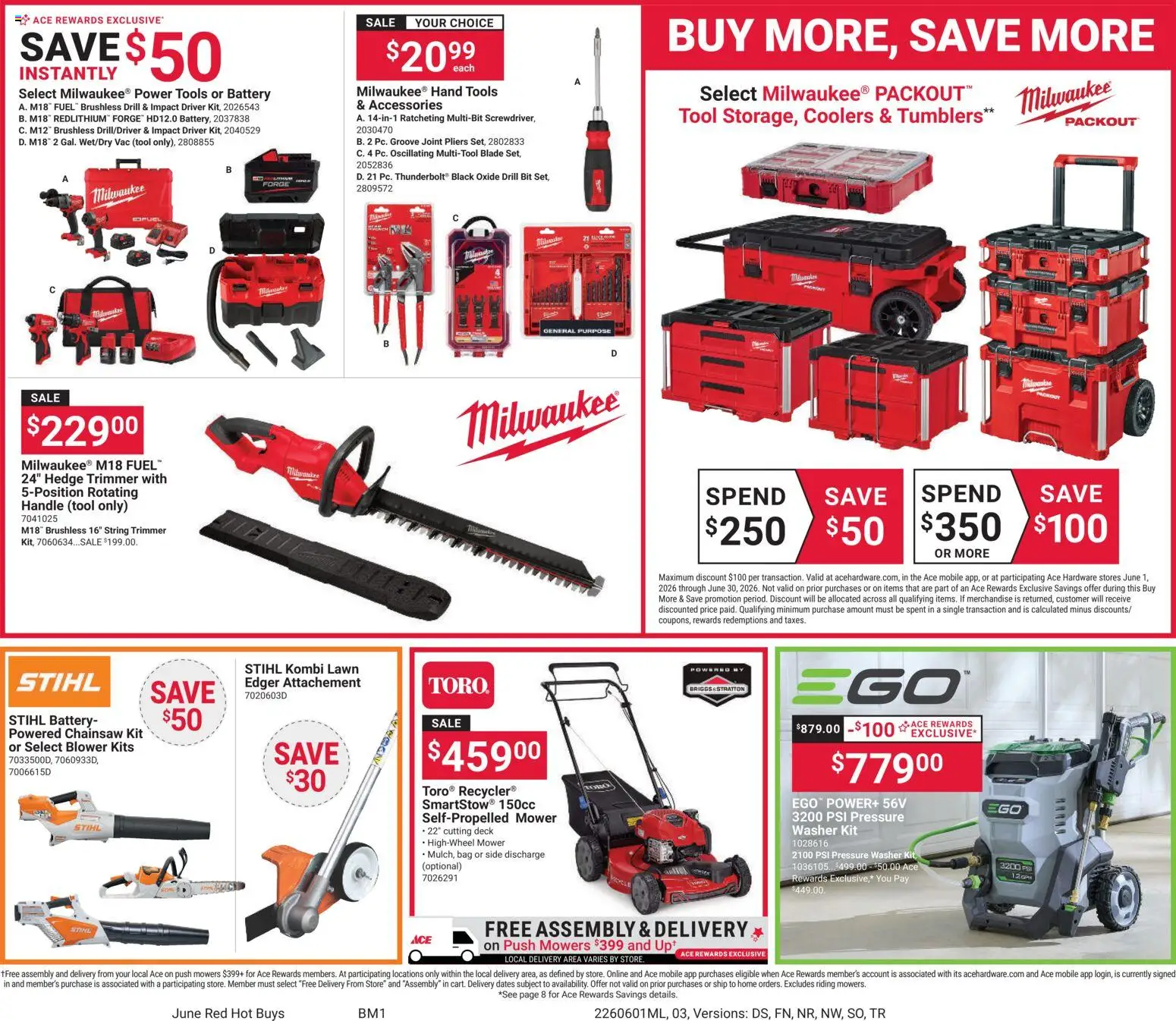 ACE Hardware Weekly Ad - valid from 01.06.2026 | Page: 3
