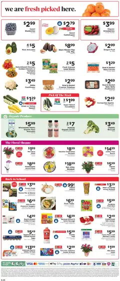 Preview of ShopRite weekly ads valid from 08/16/2026 | Page: 9 | Products: Cantaloupes, Basket, Eggs, Pumpkin