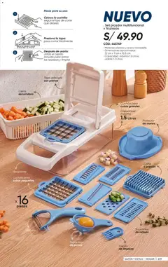 Vista previa de folleto Azzorti catálogo - Campaña 14 de la Azzorti válido desde 31/08/2026 | Página: 245 | Productos: Cortar, Cesta, Tapa