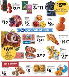 Preview of Fred Meyer weekly ads valid from 09/09/2026 | Page: 13