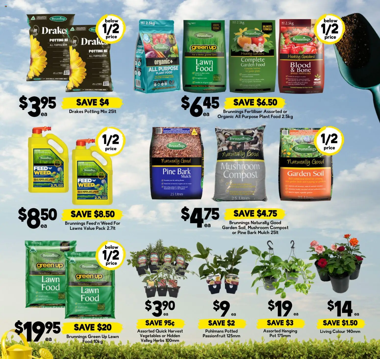 Drakes catalogue - valid from 30/09/2026 | Page: 17 | Products: Plant, Herbs, Vegetables, Soil