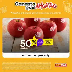 Surtimax catálogo -  Vista previa de la revista de la tienda Surtimax valido desde el 05.06.2026