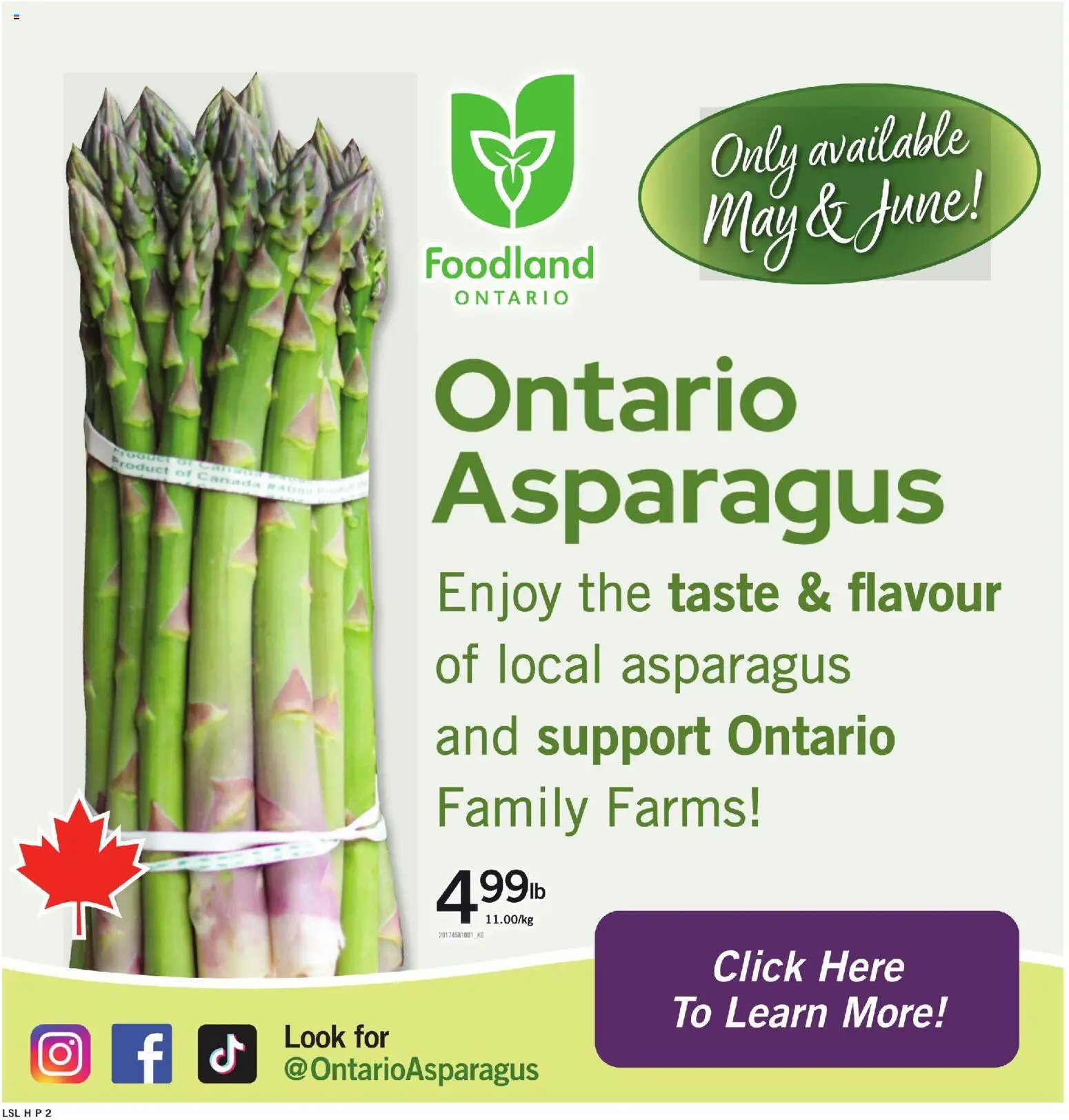Loblaws flyer valid from 21.05.2026 | Page: 8