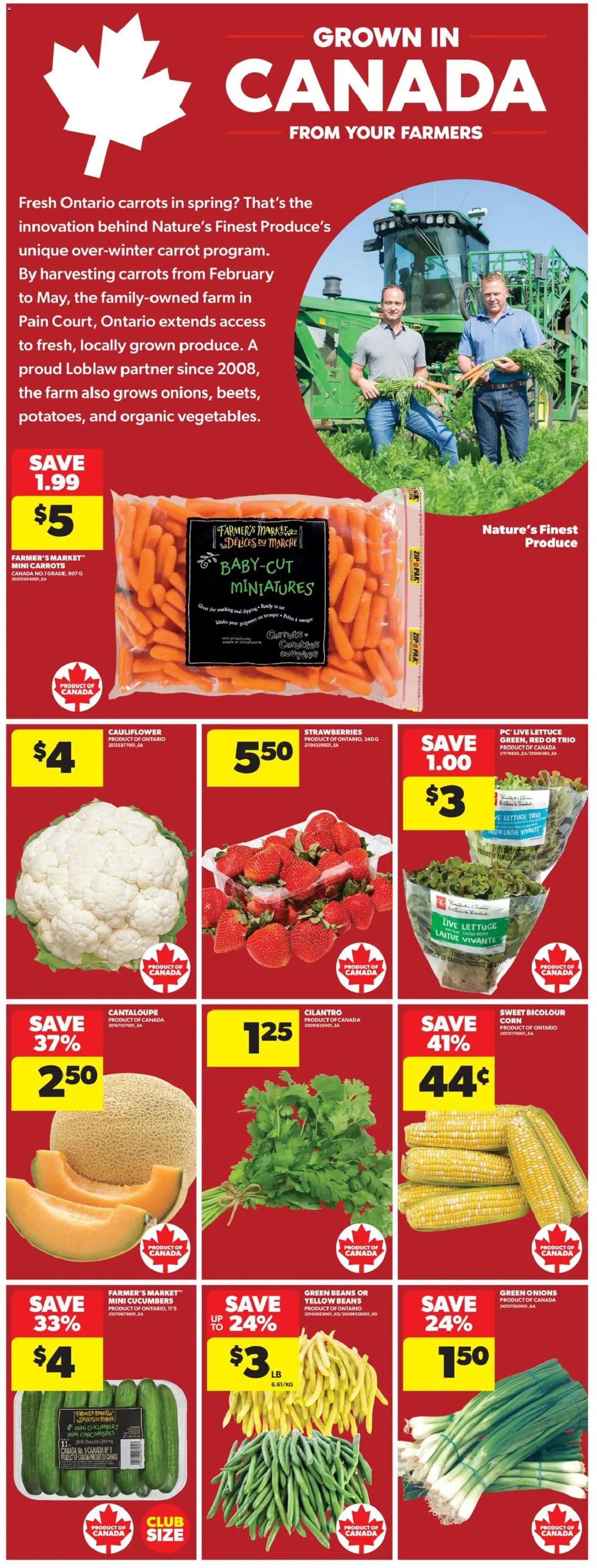 Real Canadian Superstore flyer valid from Aug 13, 2026 | Page: 11 | Products: Strawberries, Cucumbers, Carrots, Beans