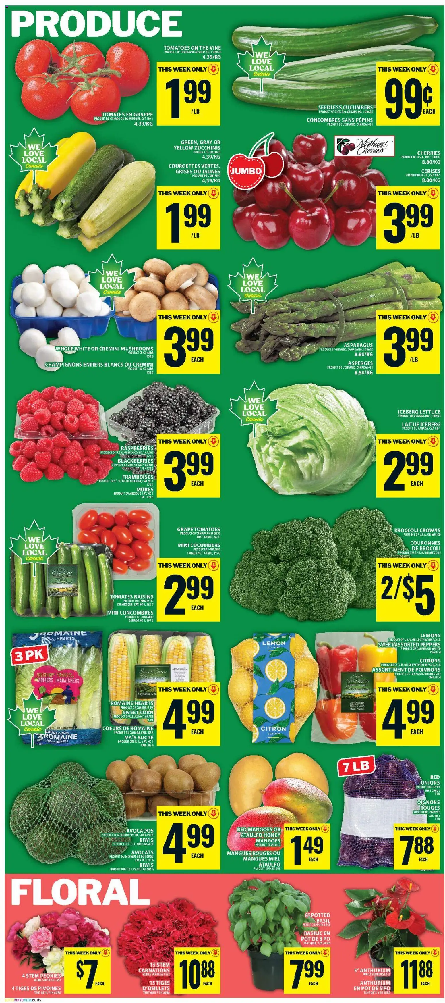 Food Basics flyer valid from Jun 25, 2026 | Page: 6