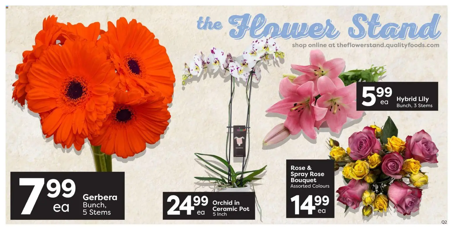 Quality Foods flyer valid from Aug 20, 2026 | Page: 3 | Products: Flower stand, Orchid, Gerbera