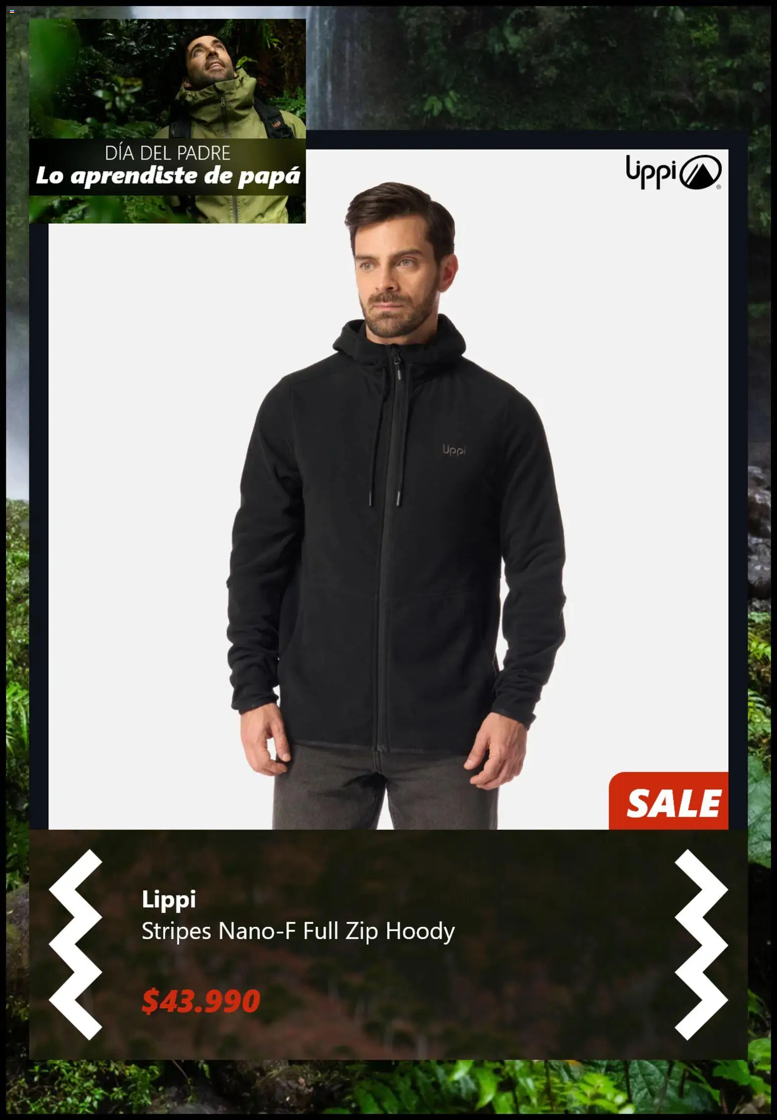 Lippi Ofertas │ válido desde el 11.06.2026 | Página: 4 | Productos: Papa