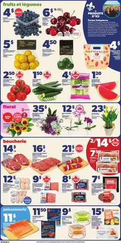 Preview of Provigo weekly flyer / circulaire from shop Provigo valid from Jul 9, 2026 | Page: 5 | Products: Cucumbers, Potatoes, Bag, Chicken