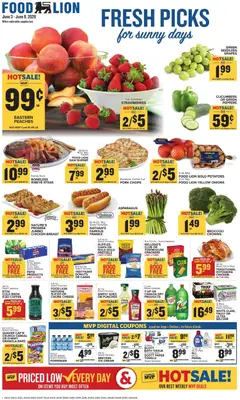 Preview of Food Lion weekly ads valid from 03.06.2026