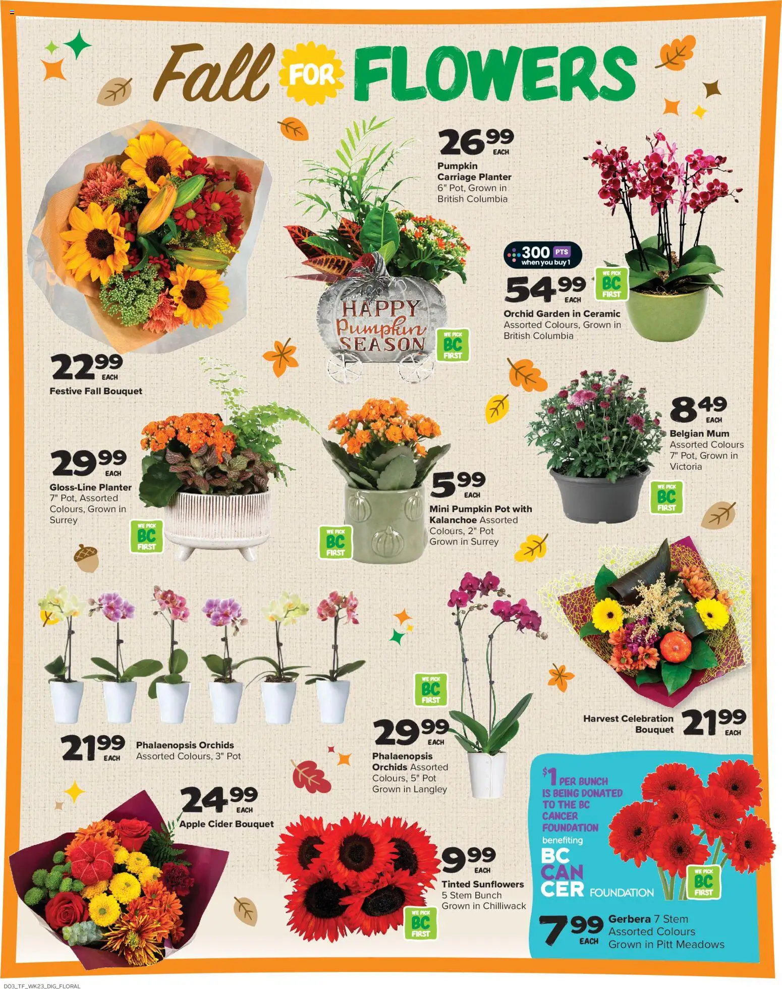 Thrifty Foods flyer valid from Oct 1, 2026 | Page: 10 | Products: Flowers, Orchid, Cider, Gerbera