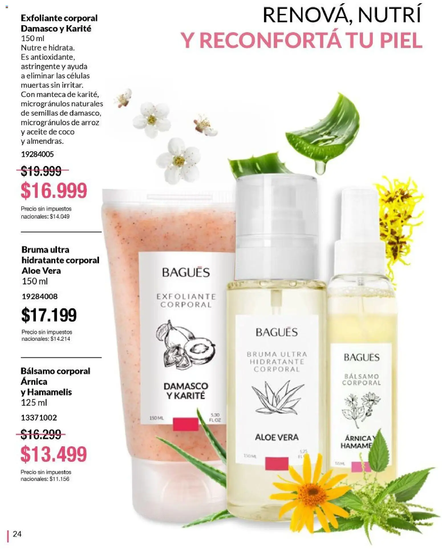 Bagués - Catálogo │ válido desde el 01.06.2026 | Página: 24 | Productos: Aceite, Bruma, Bálsamo, Arroz