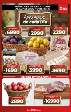 Vista previa Supermercado DIA - Folleto Frescos válido desde el 28/10/2026