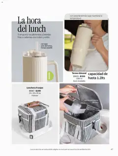 Vista previa de Vianney - Catálogo - Biasi, nuevo folleto de la tienda, válido en México a partir del 05/09/2025 | Página: 49 | Productos: Termo