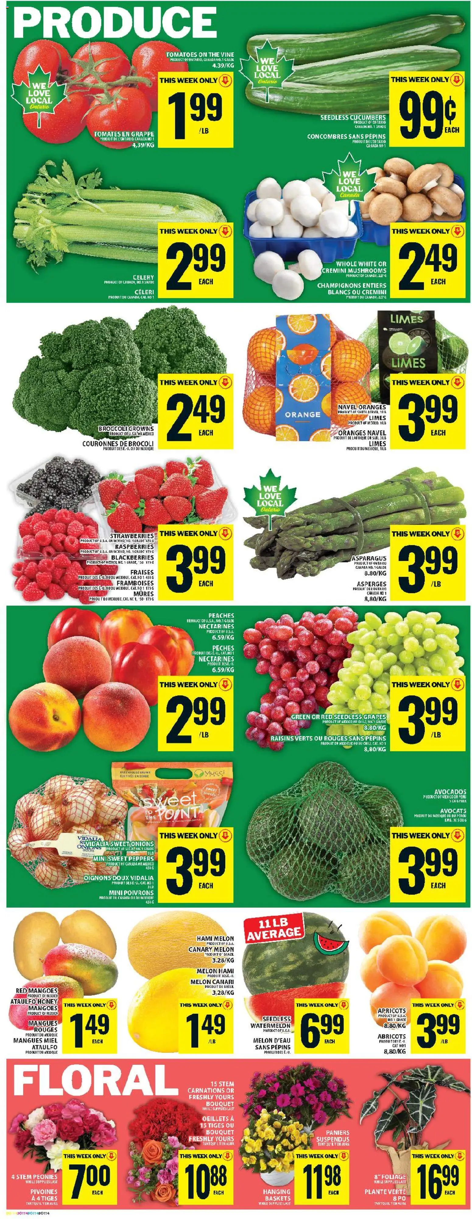 Food Basics flyer valid from 04.06.2026 | Page: 7