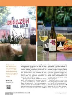 Vista previa de Bodegas Alianza catálogo, nuevo folleto de la tienda, válido en México a partir del 01.04.2026 | Página: 31