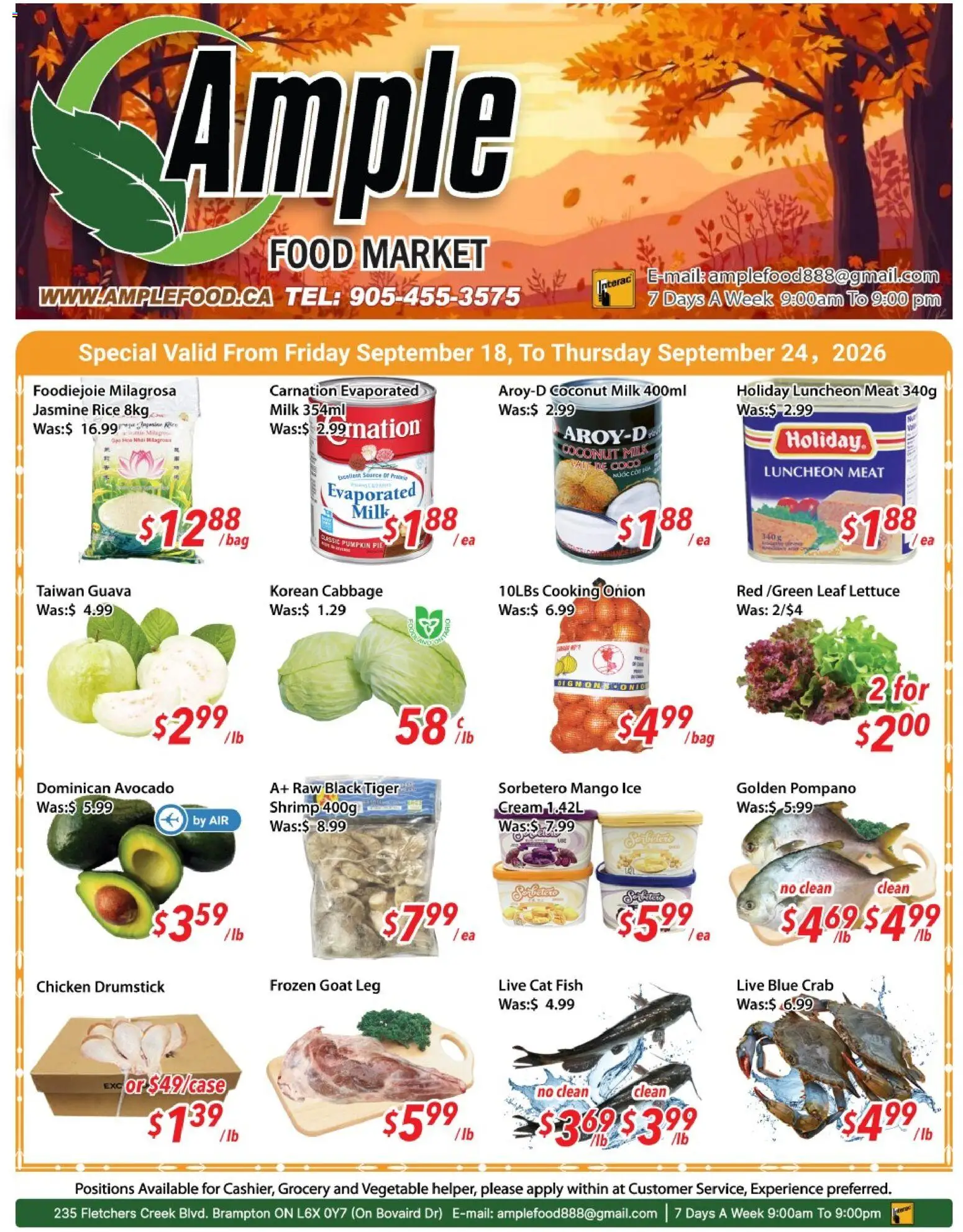 Ample Food Market flyer valid from Sep 18, 2026 | Page: 1 | Products: Rice, Jasmine rice, Avocado, Chicken