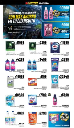 Vista previa Diarco ofertas válido desde el 22/06/2026 | Página: 16