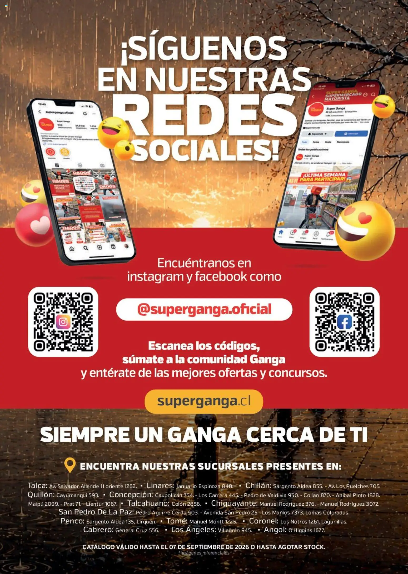 Super Ganga Ofertas │ válido desde el 11.08.2026 | Página: 12