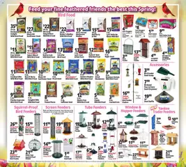 Preview of Ocean State Job Lot weekly ads valid from 21.05.2026 | Page: 22 | Products: Corn, Tiller, Oil