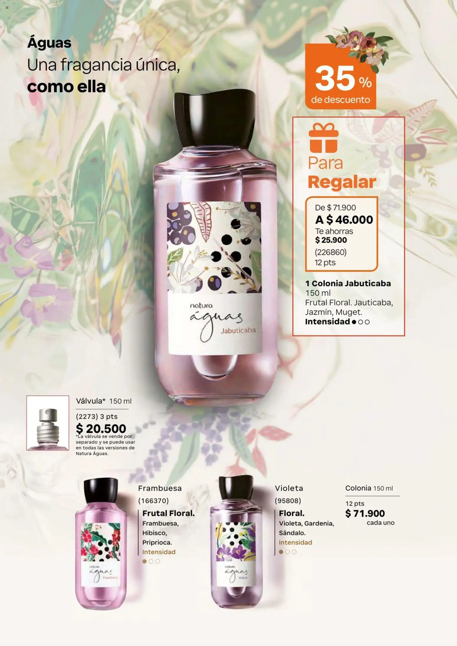 Natura revista - valida desde el 01.04.2026 | Página: 67 | Productos: Té, Fragancia, Válvula