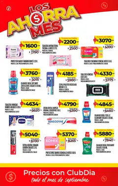 Vista previa Supermercado DIA - Ahorra mes válido desde el 10/09/2026 | Página: 23