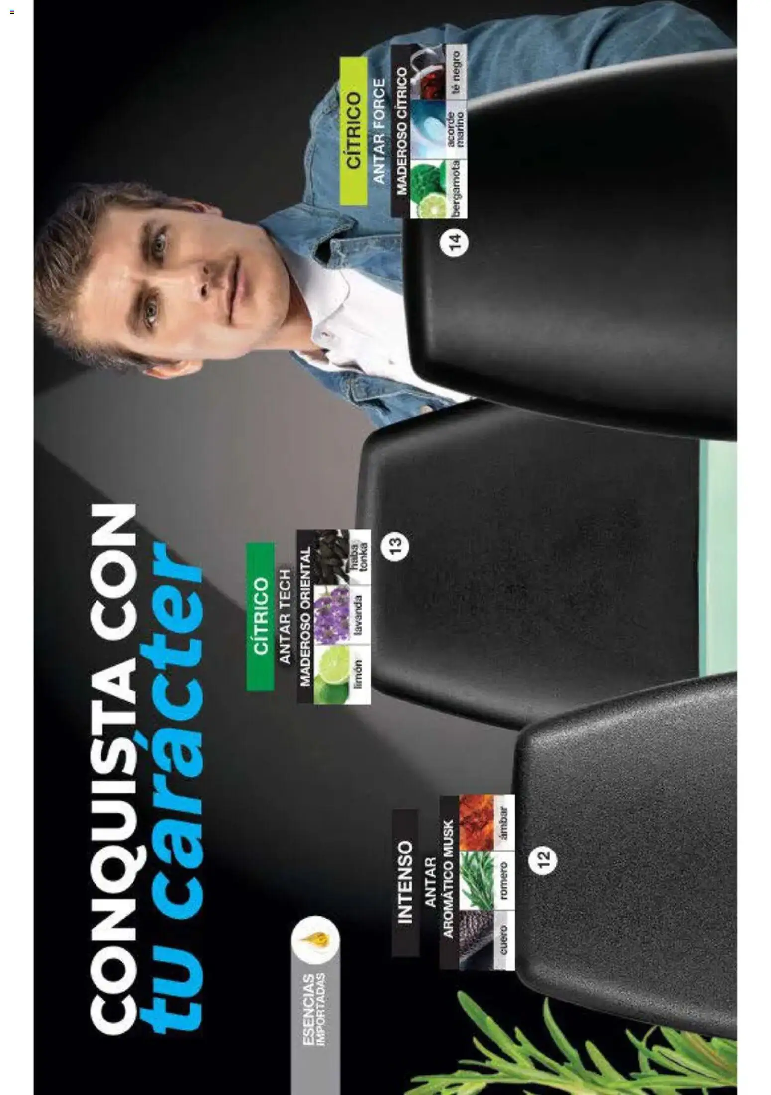 Nuevas ofertas de Fuller válidas en toda la República Mexicana desde el 16/09/2026. ¡Encuentra las mejores ofertas en Fuller campaña 12 2026! | Página: 7 | Productos: Limón, Esencias, Té, Té negro