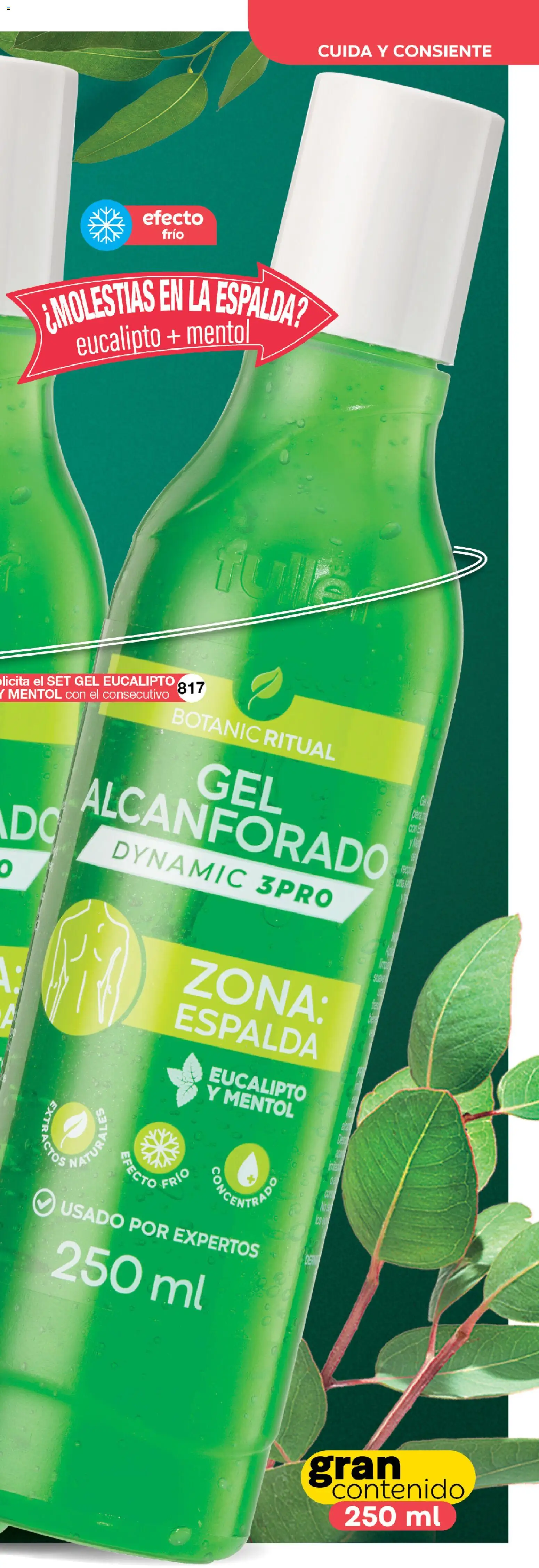 Nuevas ofertas de Fuller válidas en toda la República Mexicana desde el 05/08/2026. ¡Encuentra las mejores ofertas en Fuller Gana Mas 8 2026! | Página: 29