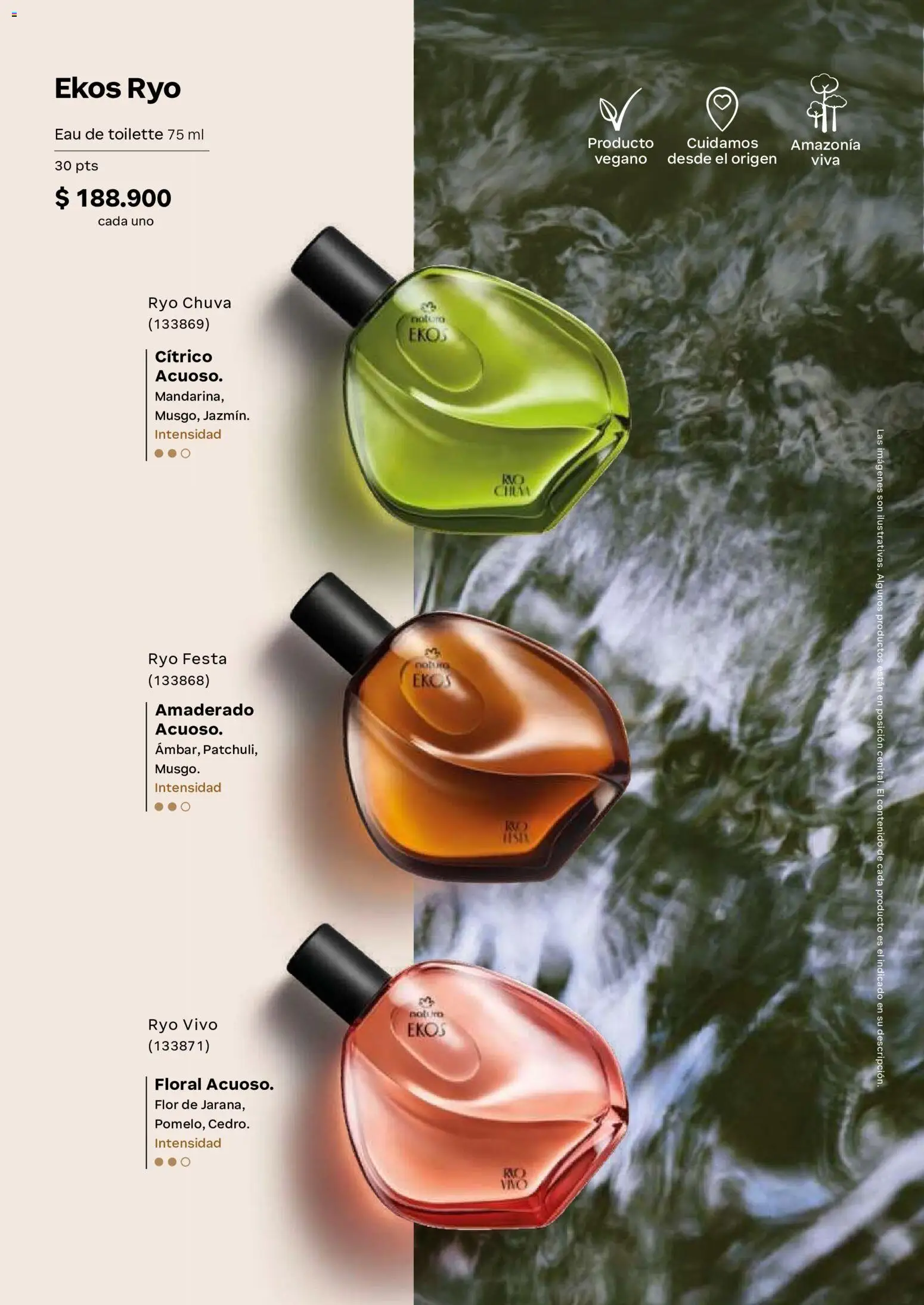 Natura revista - valida desde el 02/09/2026 | Página: 35 | Productos: Eau de toilette