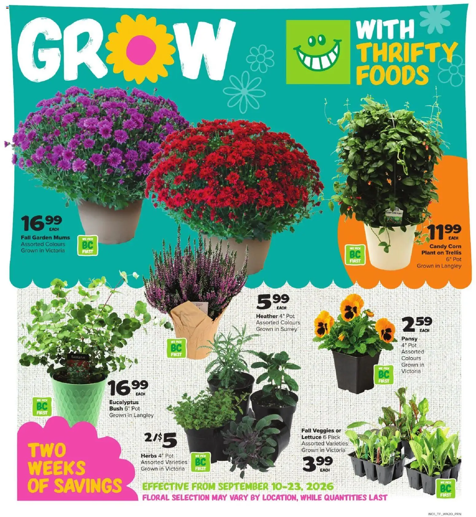 Thrifty Foods flyer valid from Sep 10, 2026 | Page: 9 | Products: Herbs, Corn, Heather
