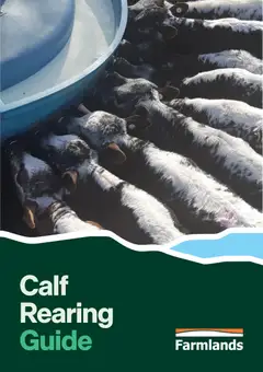 Farmlands Calf Rearing Guide 2026 preview  - valid from 4 Jun 2026