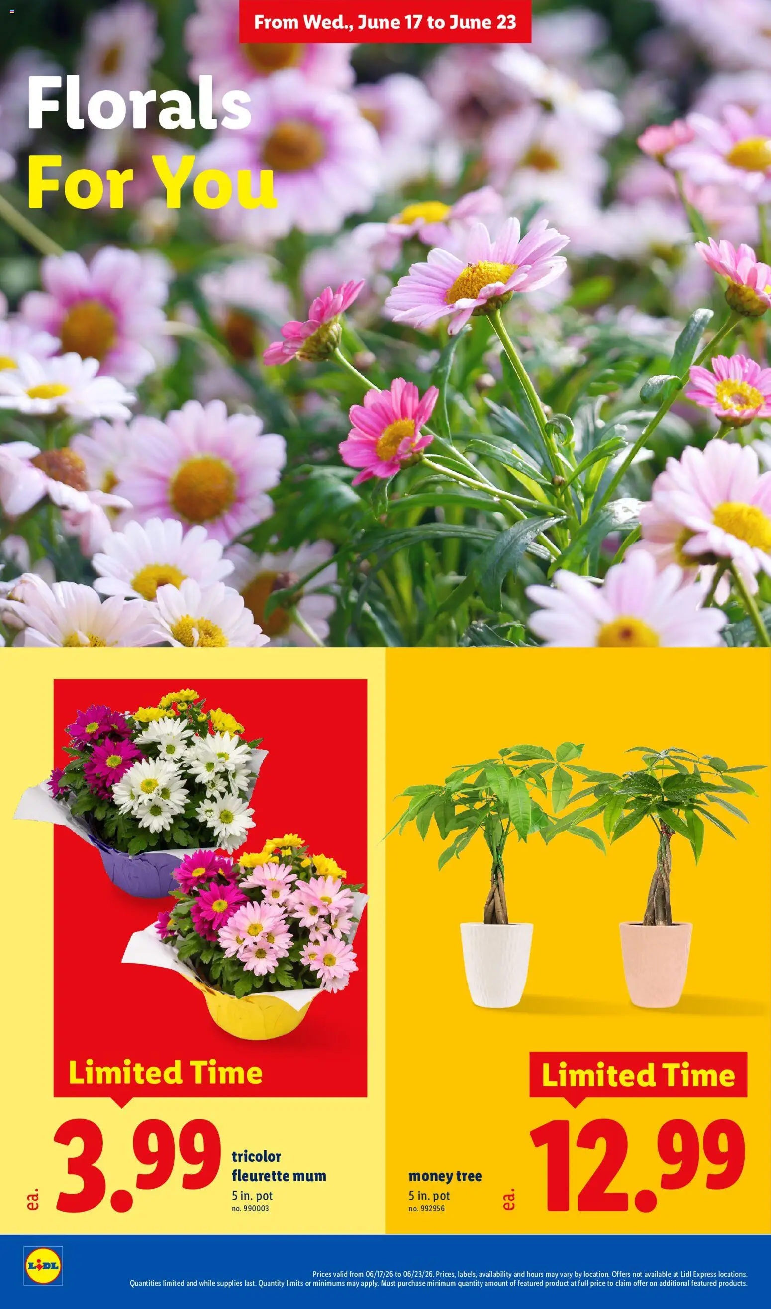 Lidl Weekly Ad - valid from 17.06.2026 | Page: 30