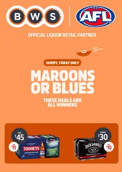 Preview of BWS catalogue - valid from 17.06.2026