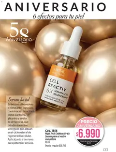 Vista previa Amodil - Campaña 10 válido desde el 01.06.2026 | Página: 11 | Productos: Aceite, Serum, Crema